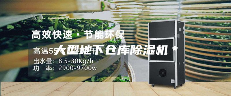 大型地下仓库除湿机＊
