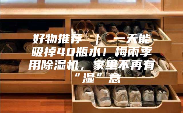 好物推荐 | 一天能吸掉40瓶水!梅雨季用除湿机,家里不再有“湿”意