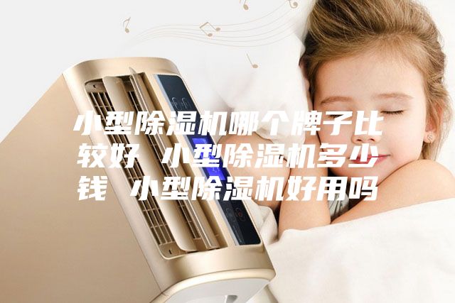 小型除湿机哪个牌子比较好 小型除湿机多少钱 小型除湿机好用吗