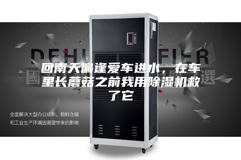 回南天偏逢爱车进水,在车里长蘑菇之前我用除湿机救了它