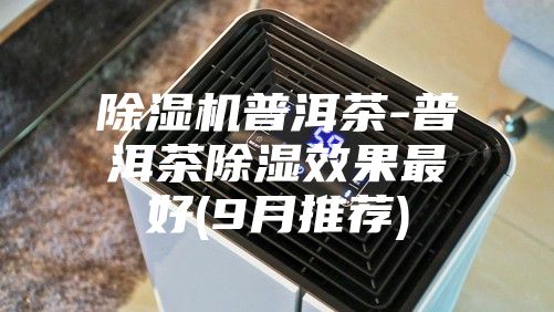 除湿机普洱茶-普洱茶除湿效果最好(9月推荐)