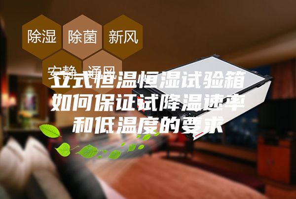 立式恒温恒湿试验箱如何保证试降温速率和低温度的要求