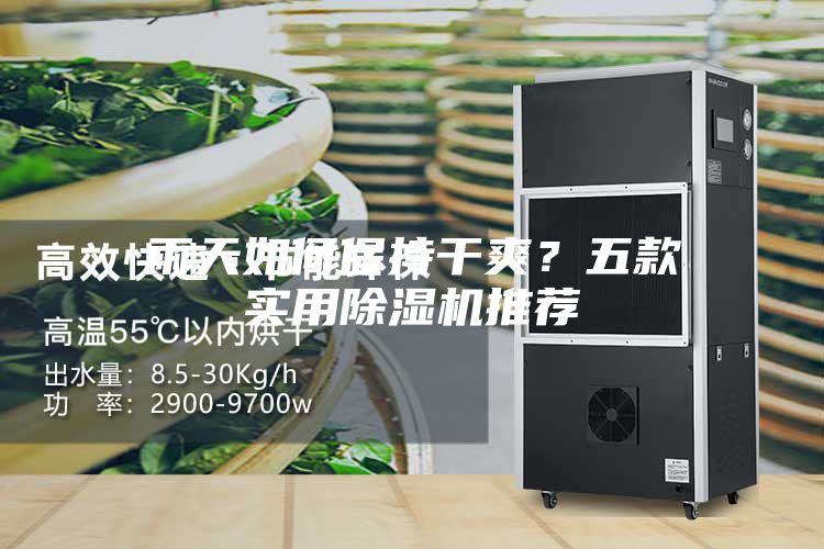 雨天如何保持干爽？五款实用除湿机推荐