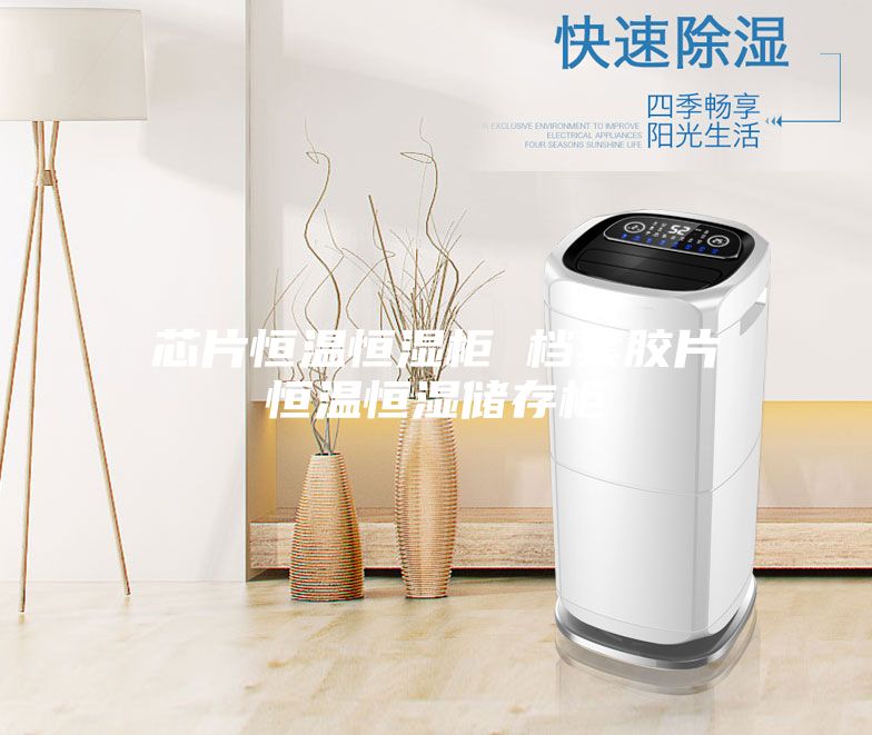 芯片恒温恒湿柜 档案胶片恒温恒湿储存柜