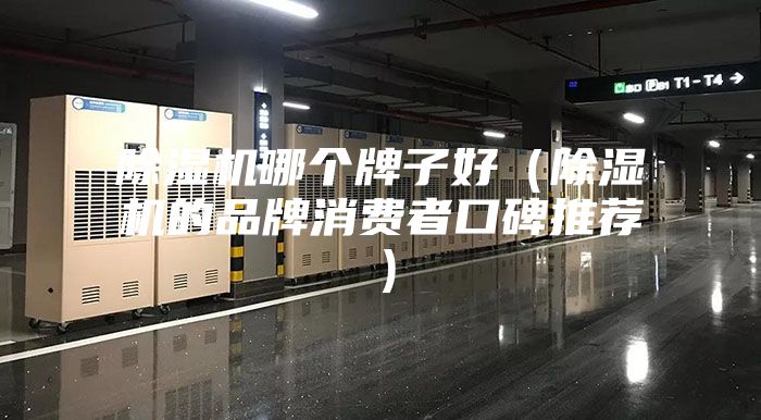 除湿机哪个牌子好（除湿机的品牌消费者口碑推荐）