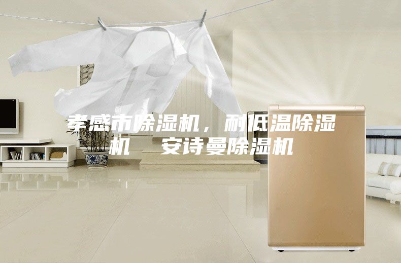 孝感市除湿机，耐低温除湿机  安诗曼除湿机