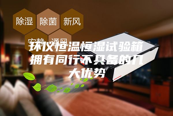 环仪恒温恒湿试验箱拥有同行不具备的几大优势