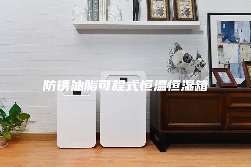 防锈油脂可程式恒温恒湿箱