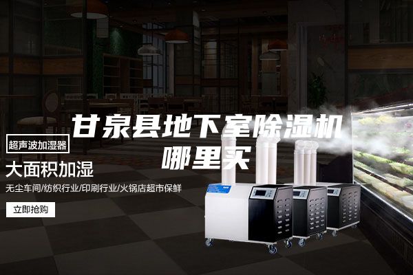 甘泉县地下室除湿机哪里买