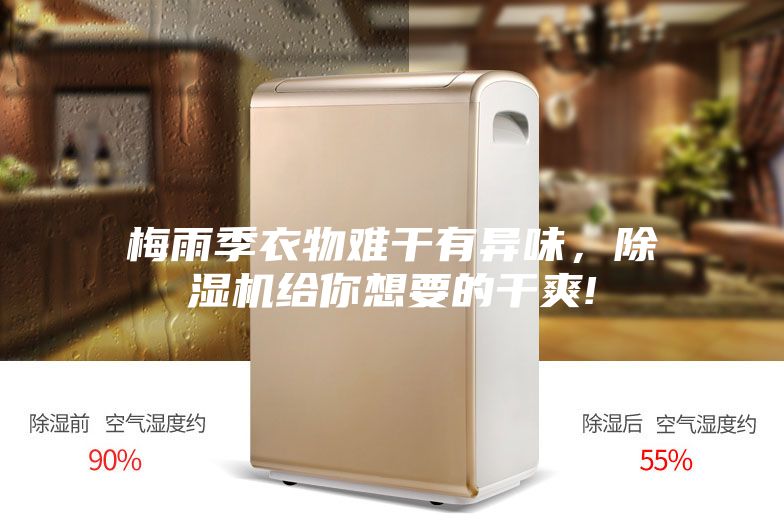 梅雨季衣物难干有异味,除湿机给你想要的干爽!