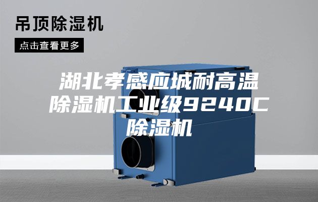 湖北孝感应城耐高温除湿机工业级9240C除湿机