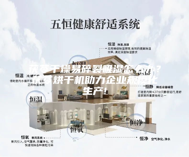 茯苓干燥易碎裂吸湿怎么办？茯苓烘干机助力企业规模化生产!