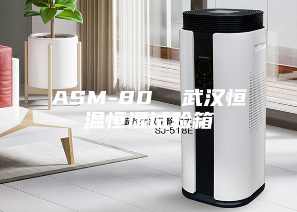 ASM-80  武汉恒温恒湿试验箱