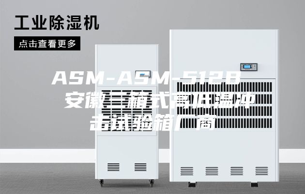 ASM-ASM-512B  安徽三箱式高低温冲击试验箱厂商