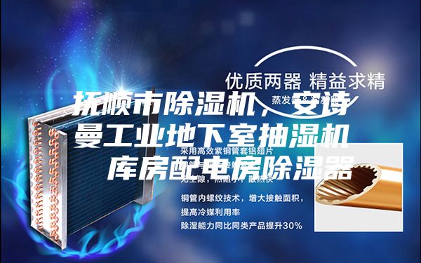 抚顺市除湿机，安诗曼工业地下室抽湿机  库房配电房除湿器