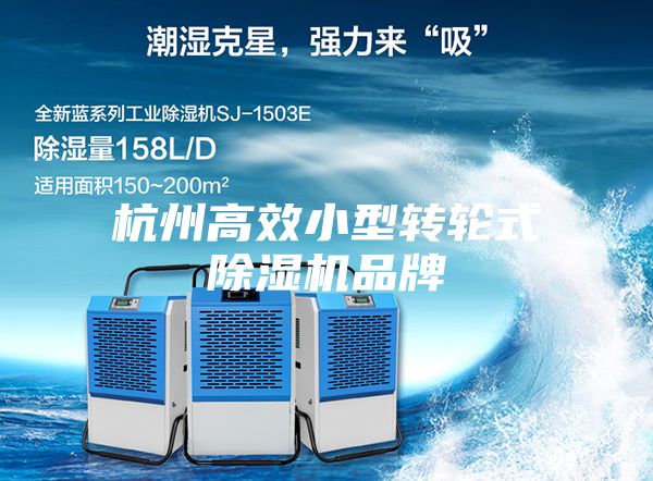 杭州高效小型转轮式除湿机品牌