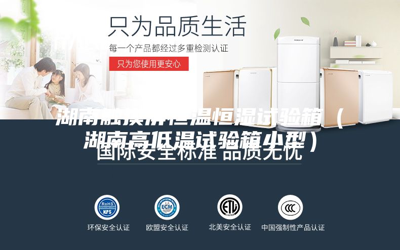 湖南触摸屏恒温恒湿试验箱（湖南高低温试验箱小型）