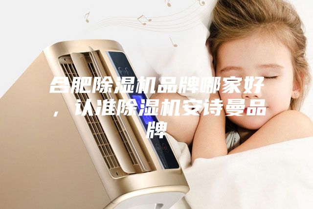 合肥除湿机品牌哪家好，认准除湿机安诗曼品牌