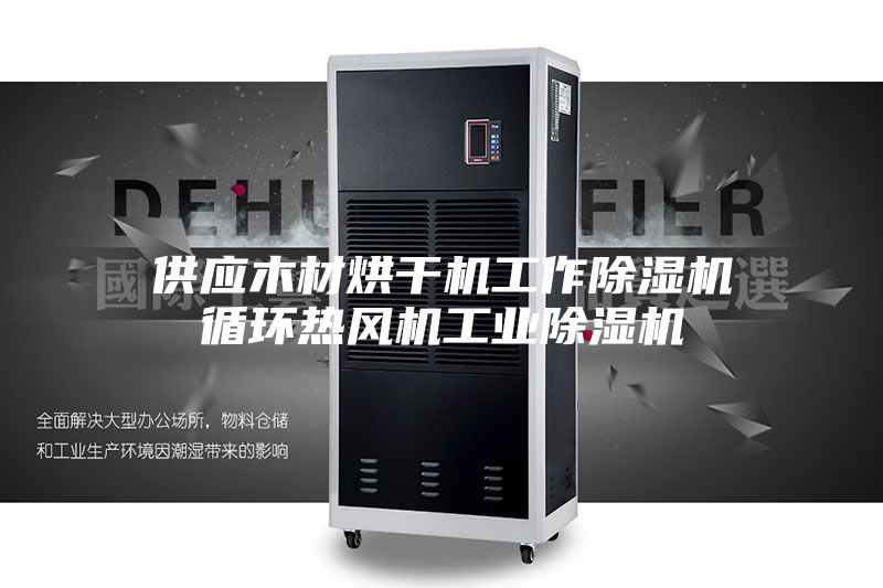 供应木材烘干机工作除湿机循环热风机工业除湿机