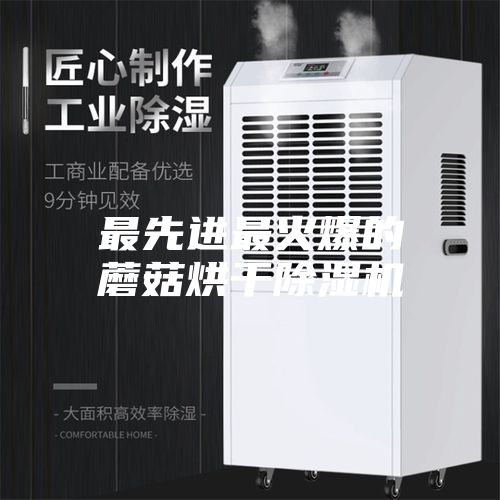 最先进最火爆的蘑菇烘干除湿机