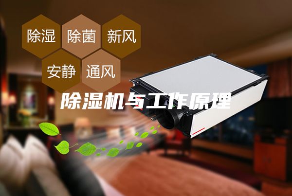 除湿机与工作原理