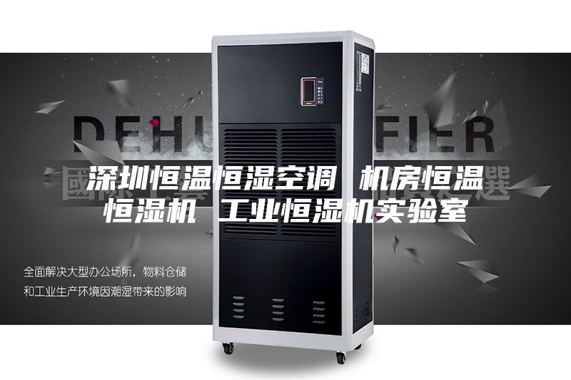 深圳恒温恒湿空调 机房恒温恒湿机 工业恒湿机实验室