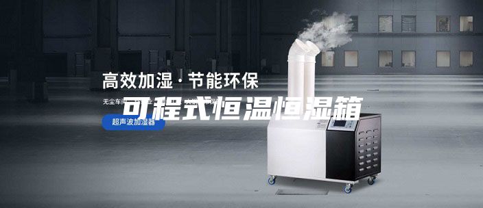 可程式恒温恒湿箱