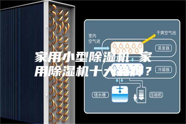 家用小型除湿机 家用除湿机十大品牌？