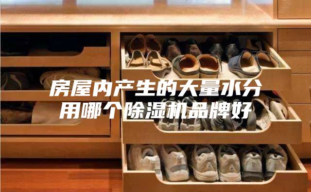 房屋内产生的大量水分用哪个除湿机品牌好