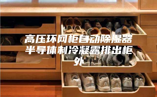 高压环网柜自动除湿器半导体制冷凝露排出柜外