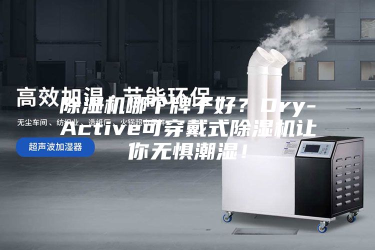 除湿机哪个牌子好？Dry-Active可穿戴式除湿机让你无惧潮湿！