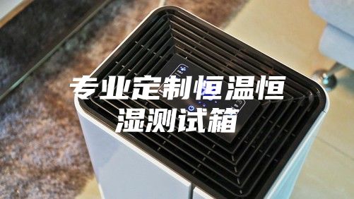 专业定制恒温恒湿测试箱
