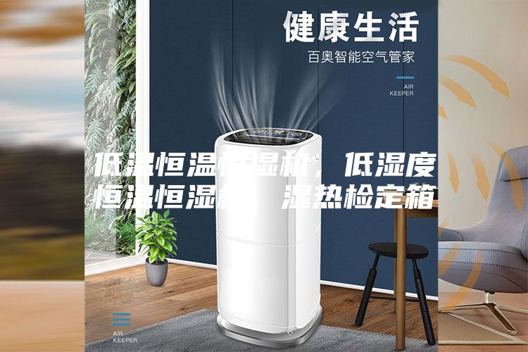 低温恒温恒湿机，低湿度恒温恒湿机，湿热检定箱