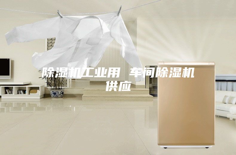 除湿机工业用 车间除湿机供应