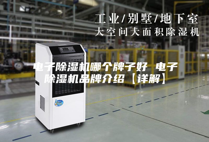 电子除湿机哪个牌子好 电子除湿机品牌介绍【详解】