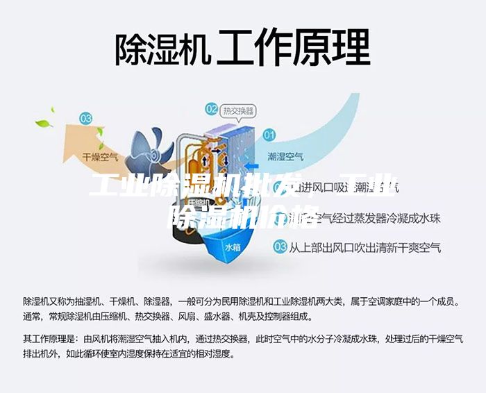 工业除湿机批发，工业除湿机价格