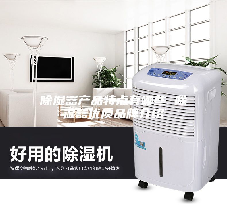 除湿器产品特点有哪些 除湿器优质品牌介绍