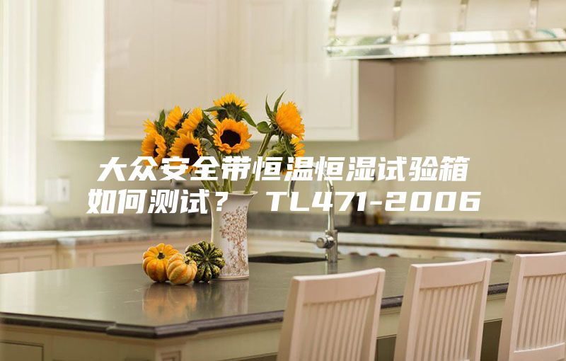 大众安全带恒温恒湿试验箱如何测试？ TL471-2006