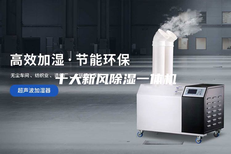 十大新风除湿一体机