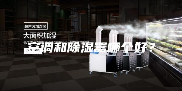 空调和除湿器哪个好？