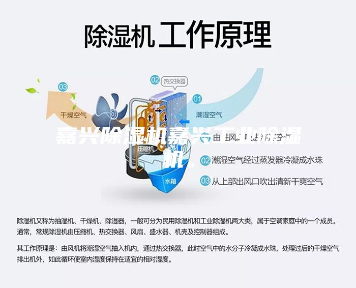 嘉兴除湿机嘉兴工业除湿机。