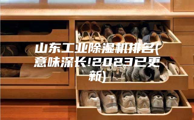 山东工业除湿机排名(意味深长!2023已更新)