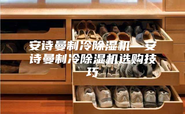 安诗曼制冷除湿机—安诗曼制冷除湿机选购技巧