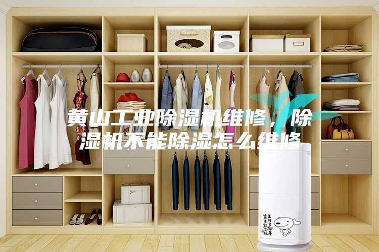 黄山工业除湿机维修，除湿机不能除湿怎么维修