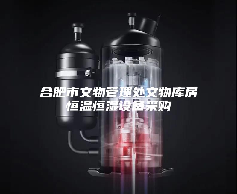 合肥市文物管理处文物库房恒温恒湿设备采购