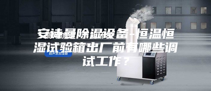 安诗曼除湿设备-恒温恒湿试验箱出厂前有哪些调试工作？