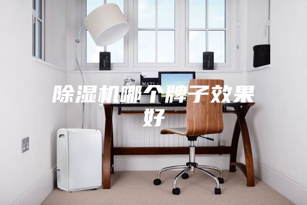 除湿机哪个牌子效果好