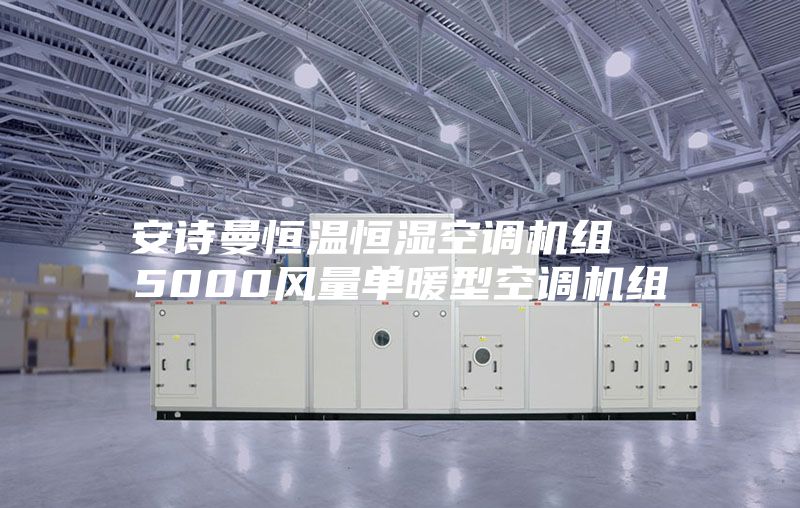 安诗曼恒温恒湿空调机组  5000风量单暖型空调机组