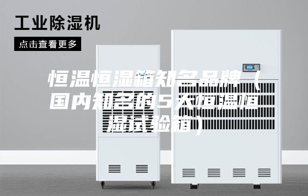恒温恒湿箱知名品牌（国内知名的5大恒温恒湿试验箱）
