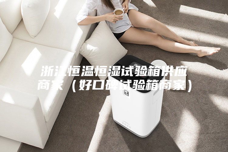 浙江恒温恒湿试验箱供应商家（好口碑试验箱商家）